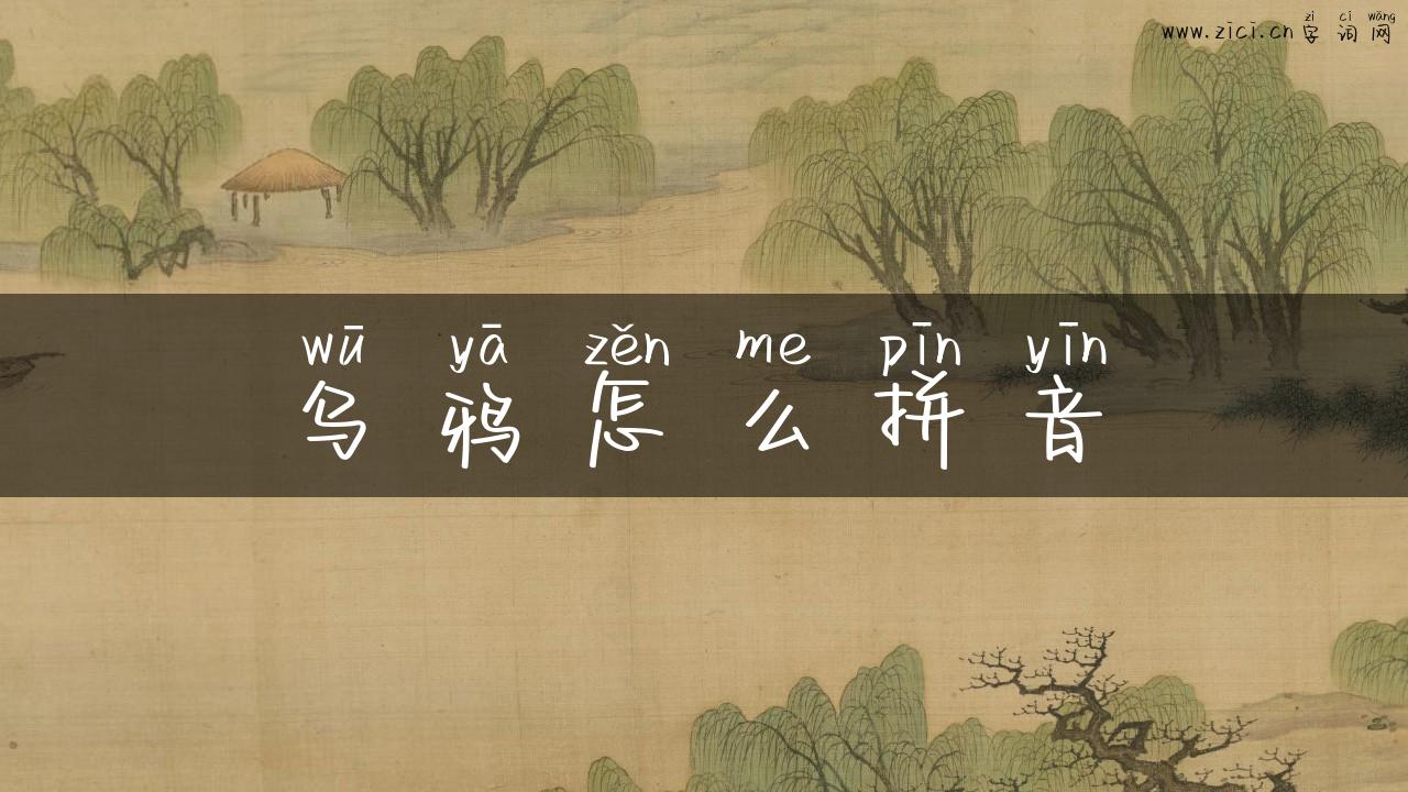 乌鸦怎么拼音