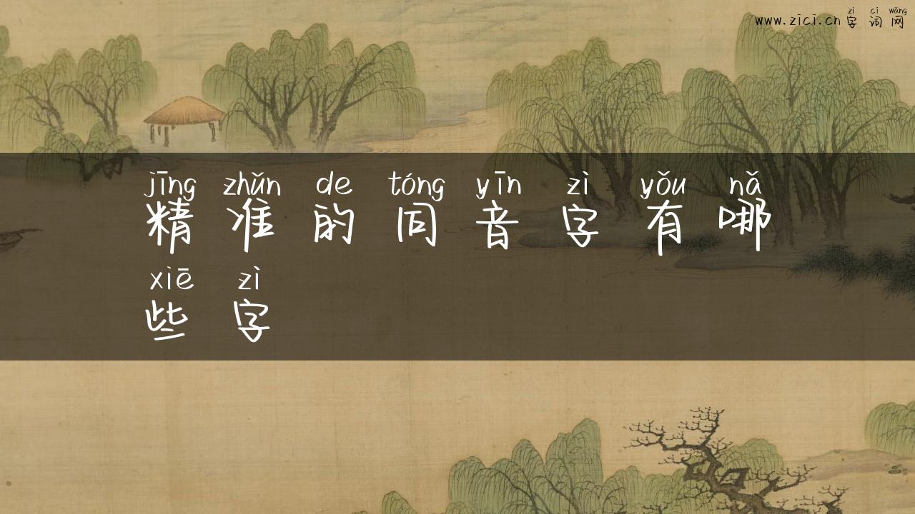 精准的同音字有哪些字