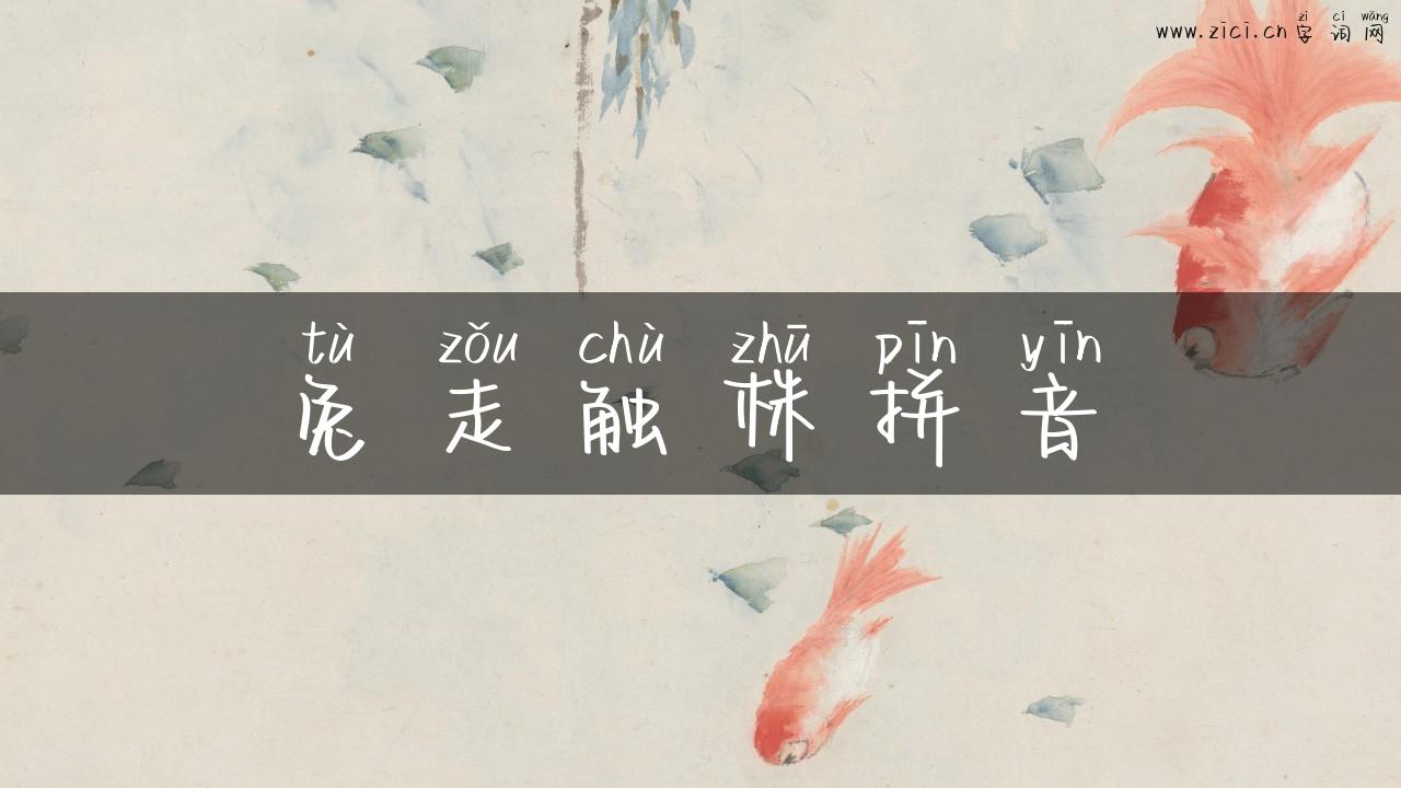 兔走触株拼音