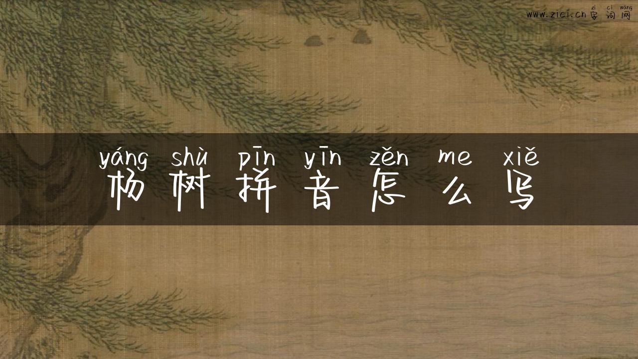 杨树拼音怎么写