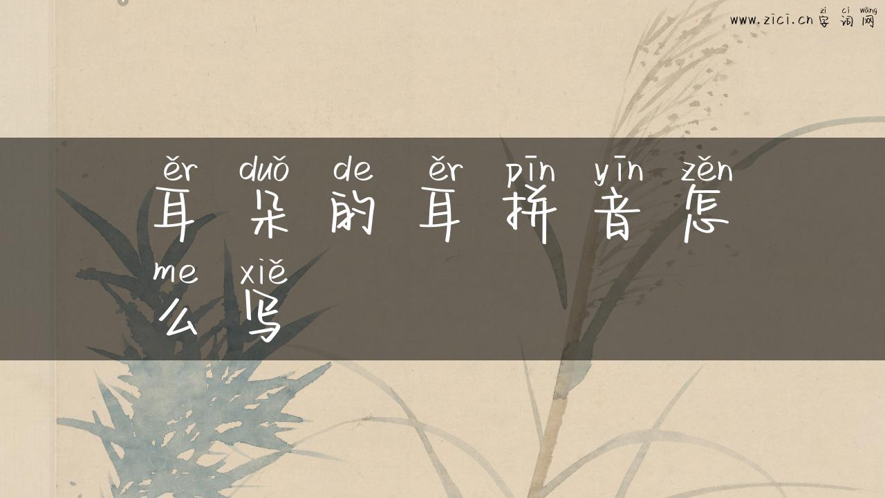 耳朵的耳拼音怎么写