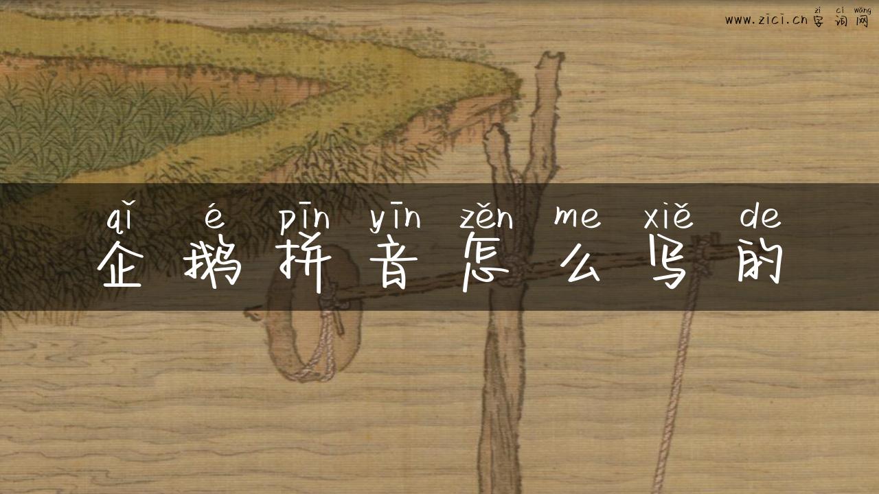 企鹅拼音怎么写的