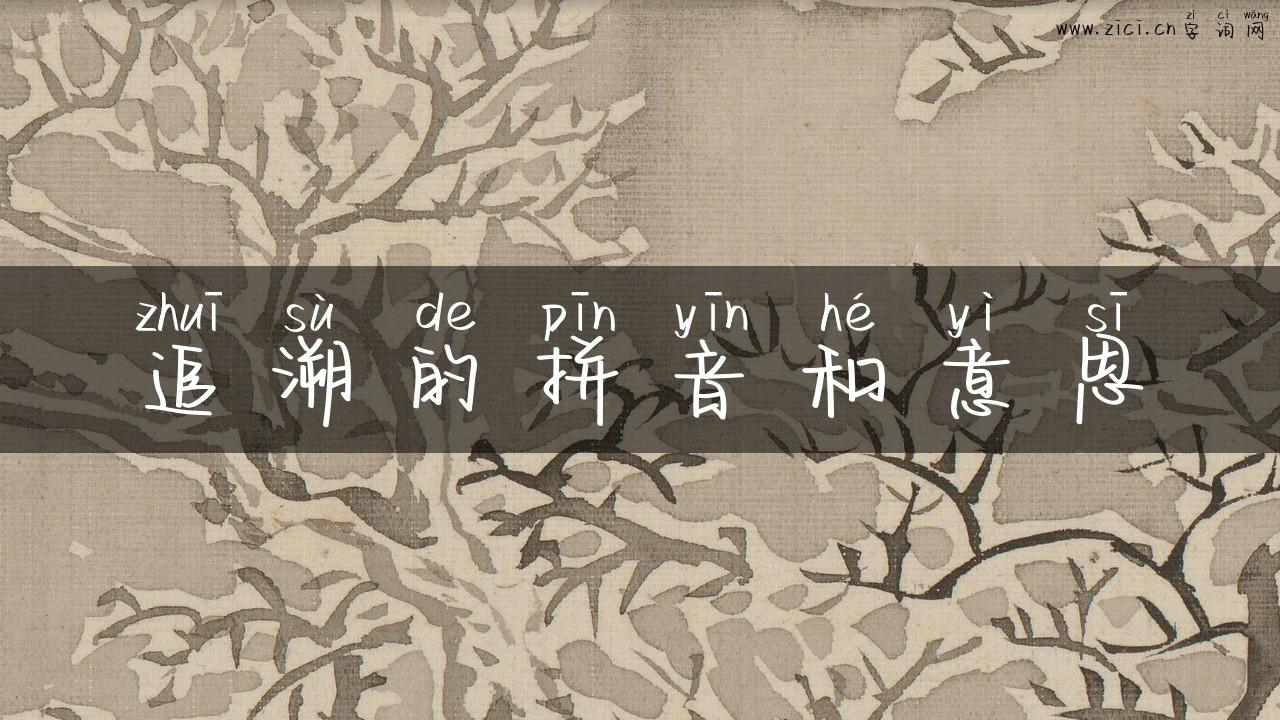 追溯的拼音和意思