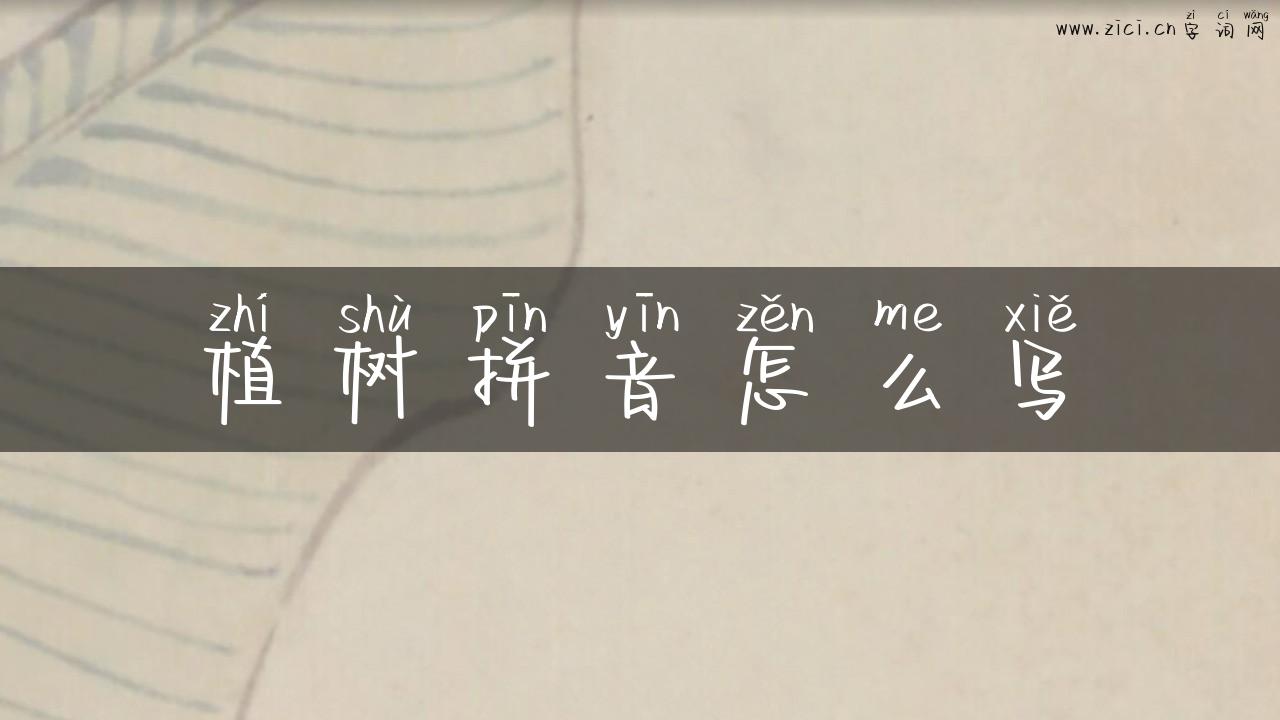 植树拼音怎么写