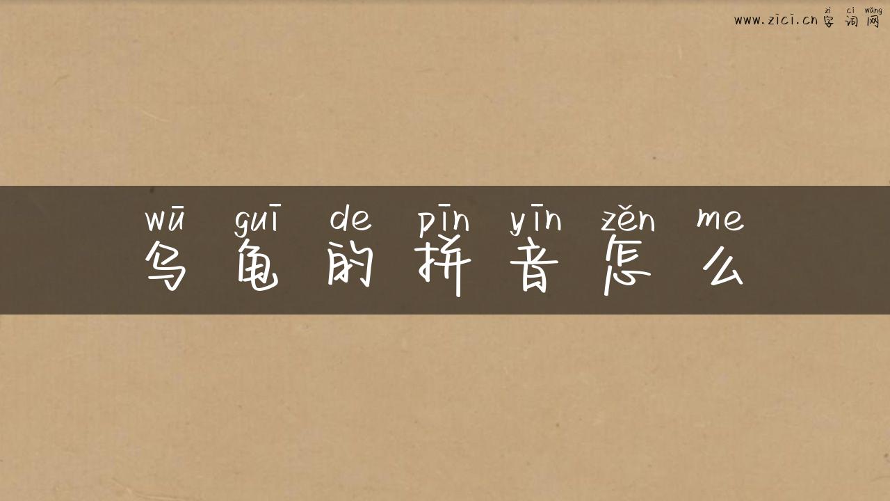 乌龟的拼音怎么