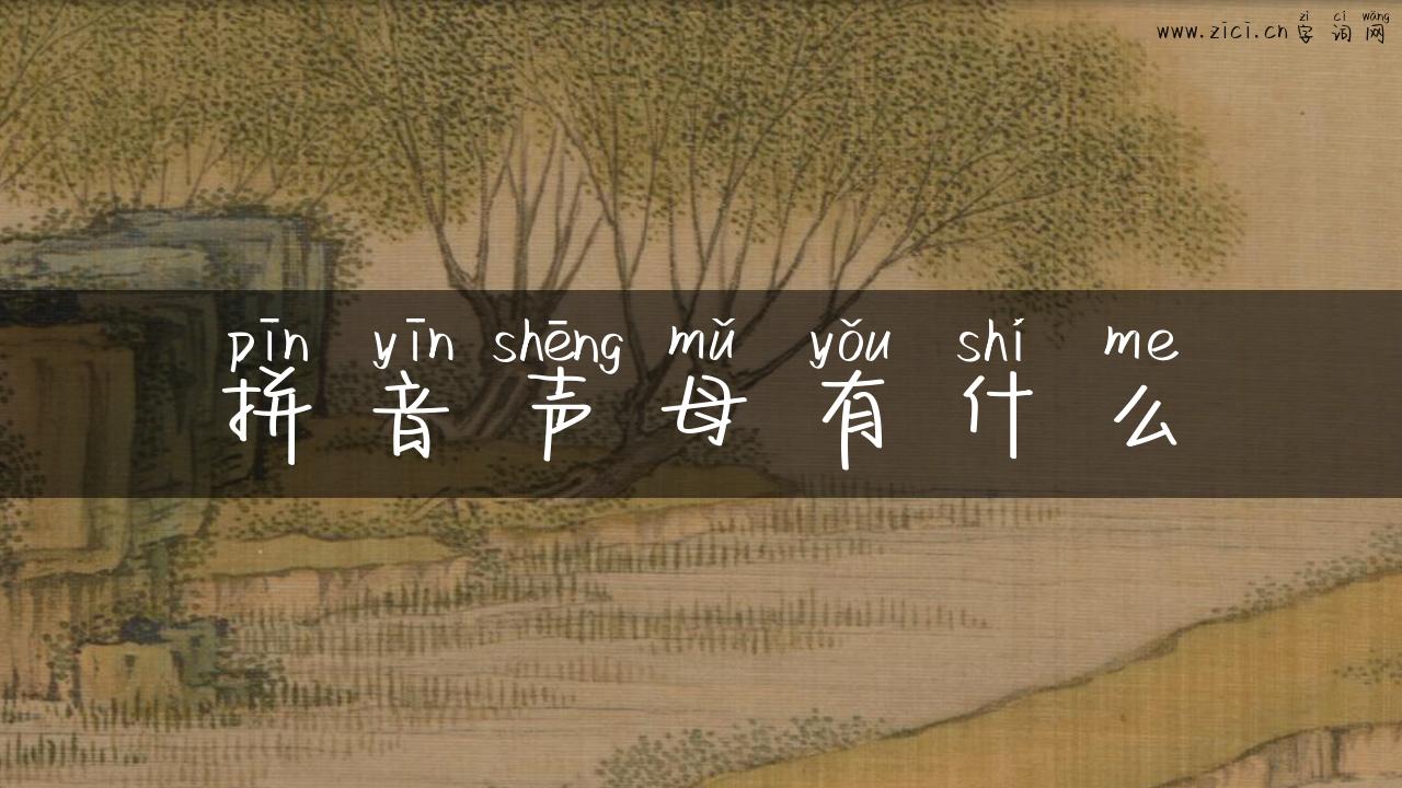 拼音声母有什么