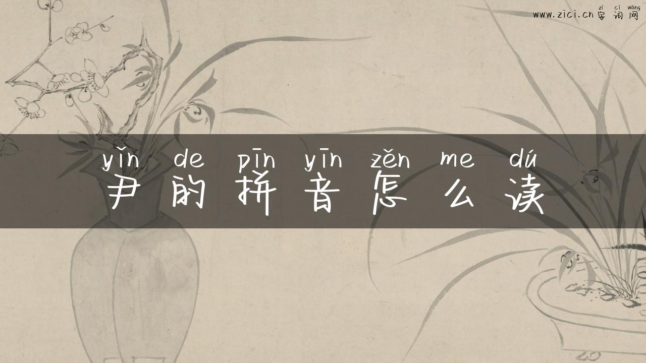 尹的拼音怎么读