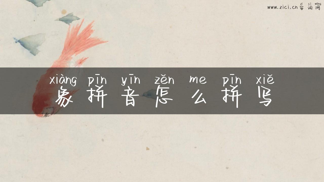 象拼音怎么拼写