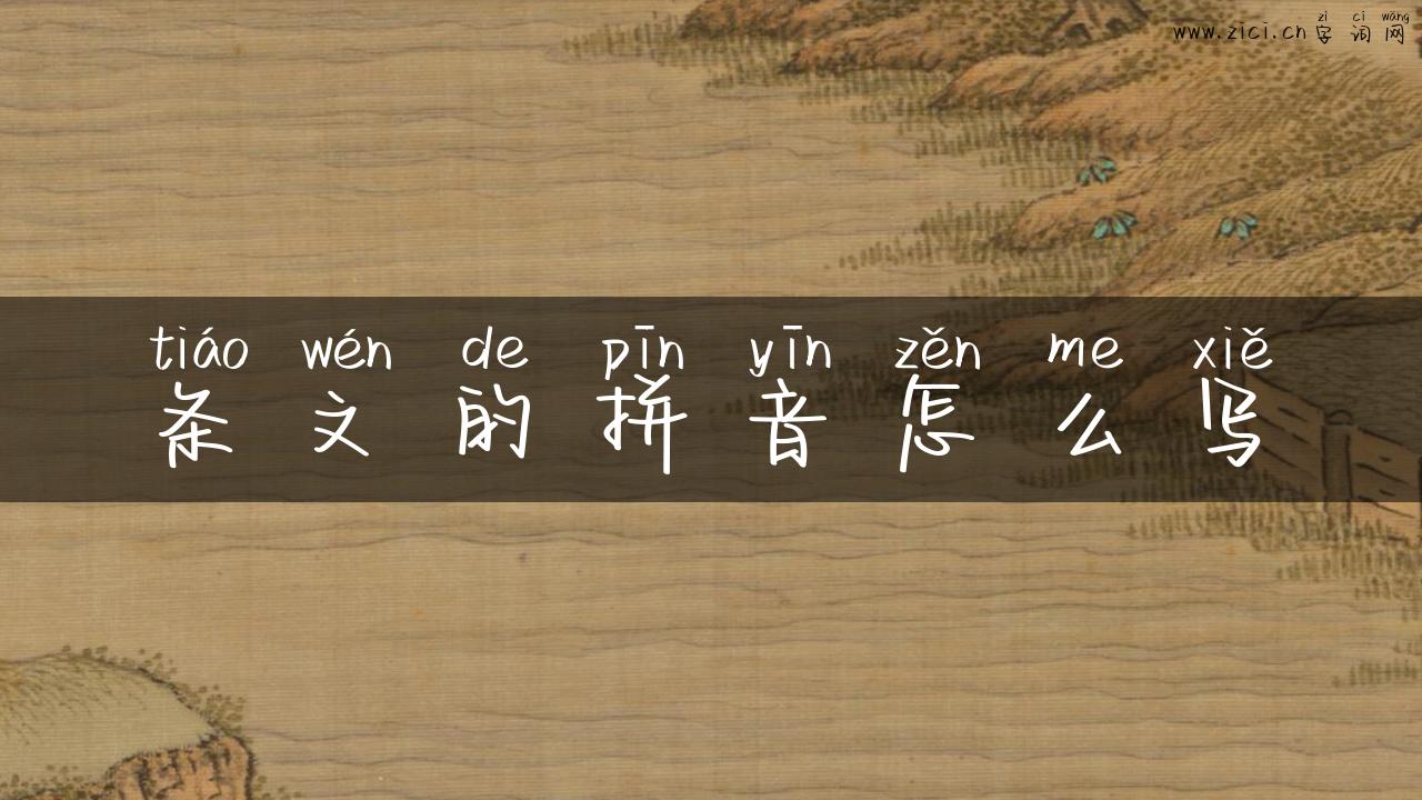 条文的拼音怎么写