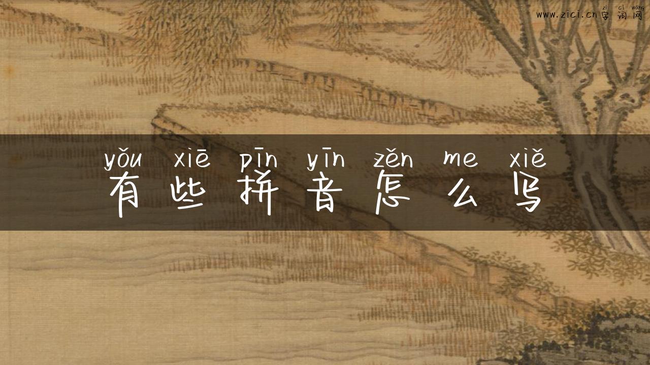 有些拼音怎么写