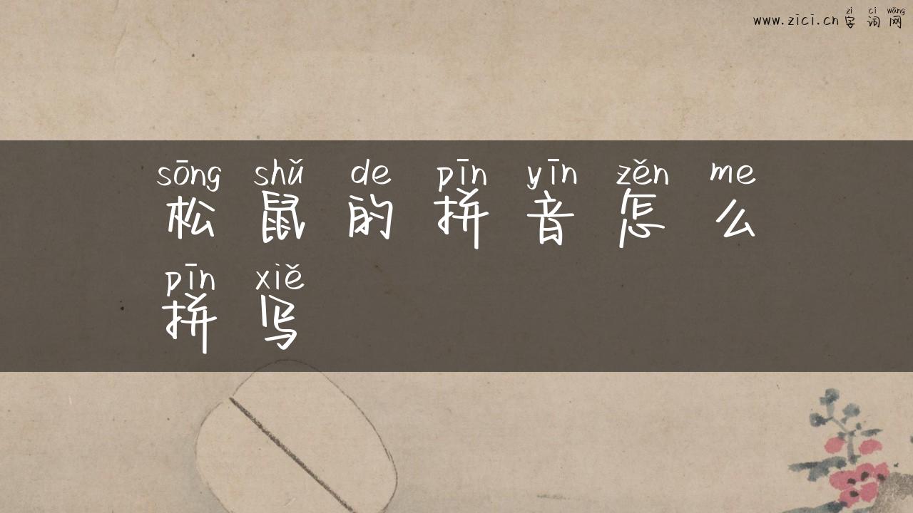 松鼠的拼音怎么拼写