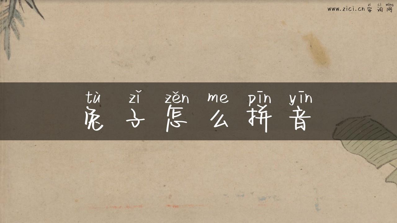 兔子怎么拼音