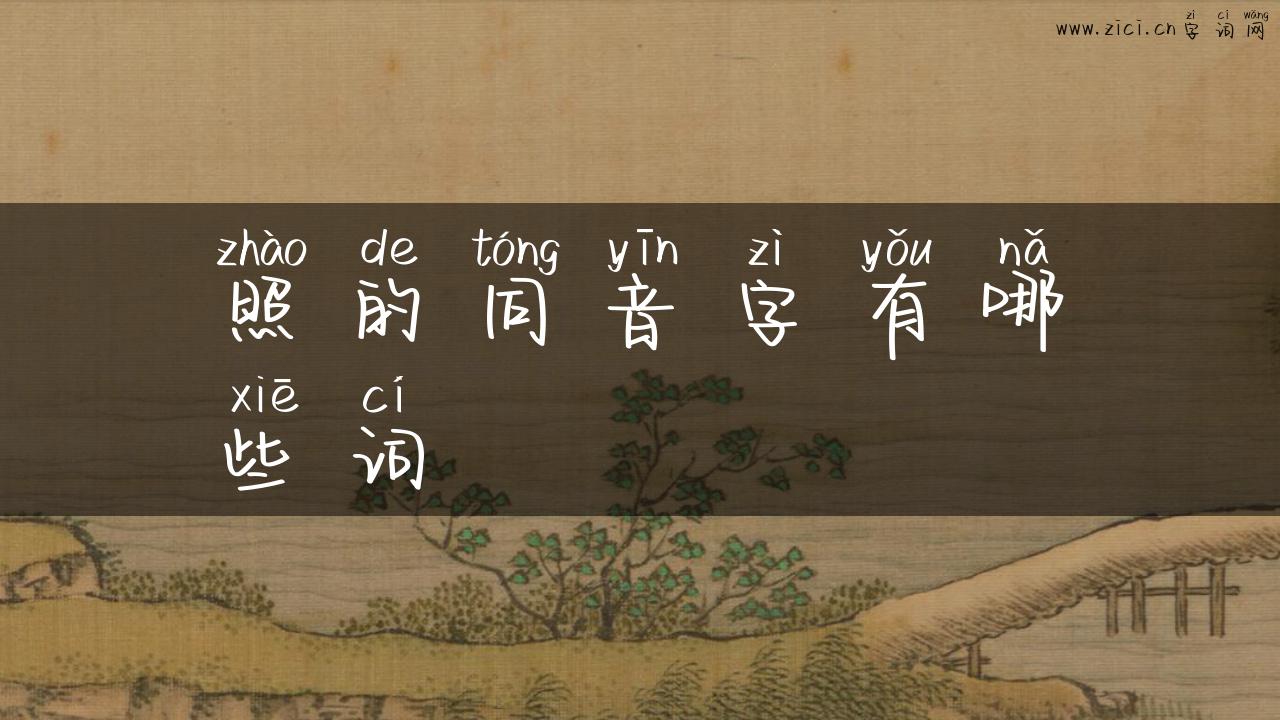 照的同音字有哪些词
