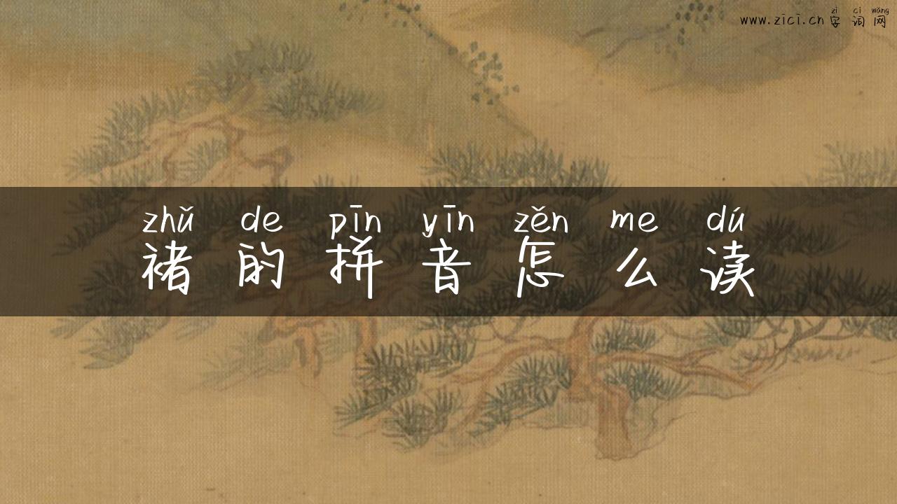 褚的拼音怎么读