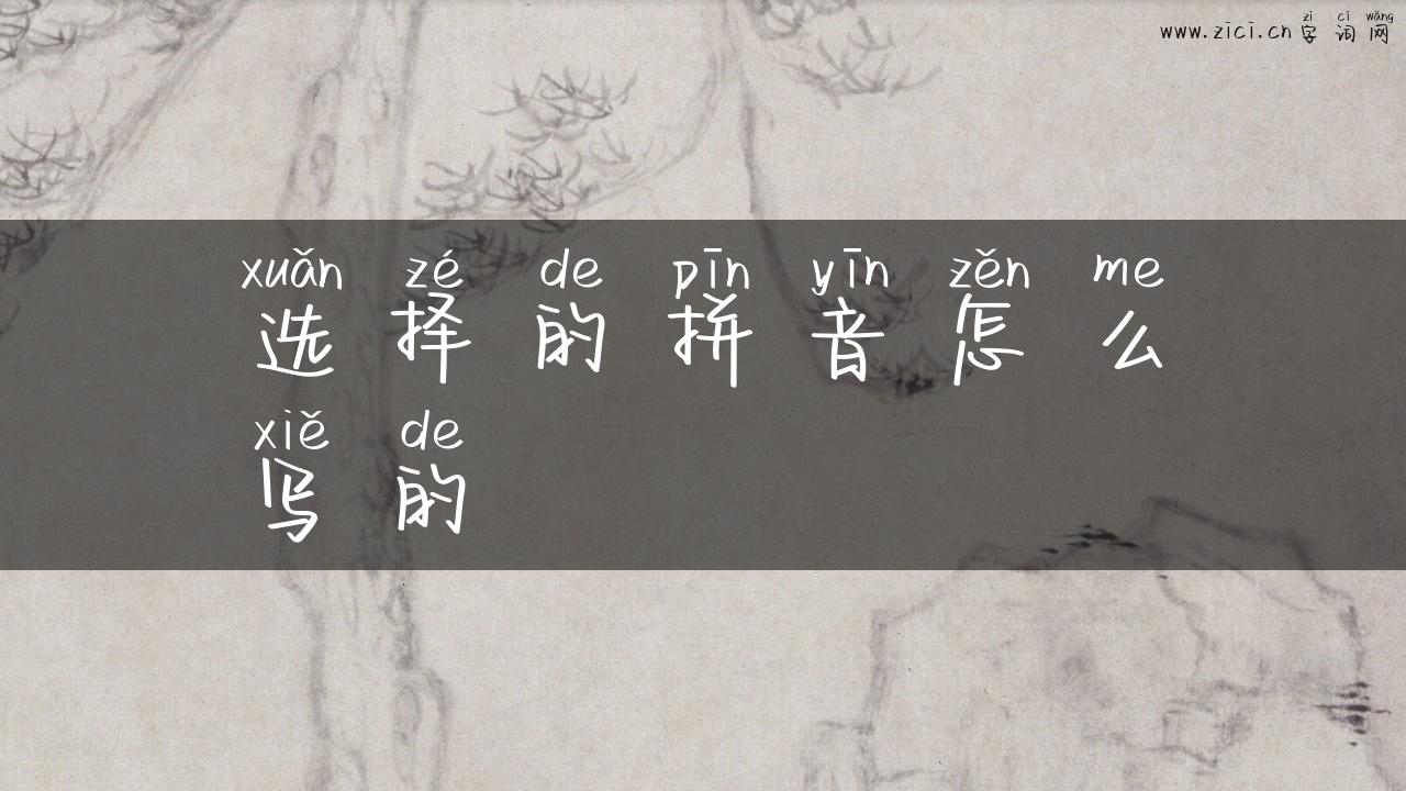 选择的拼音怎么写的