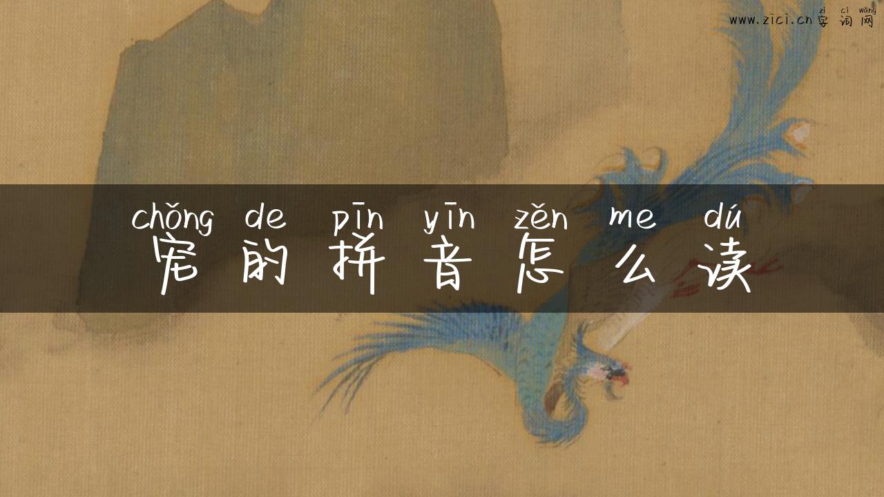 宠的拼音怎么读