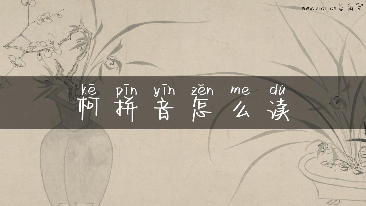 柯拼音怎么读