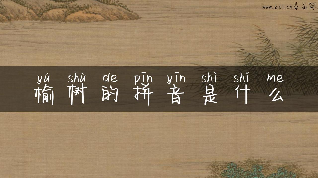 榆树的拼音是什么