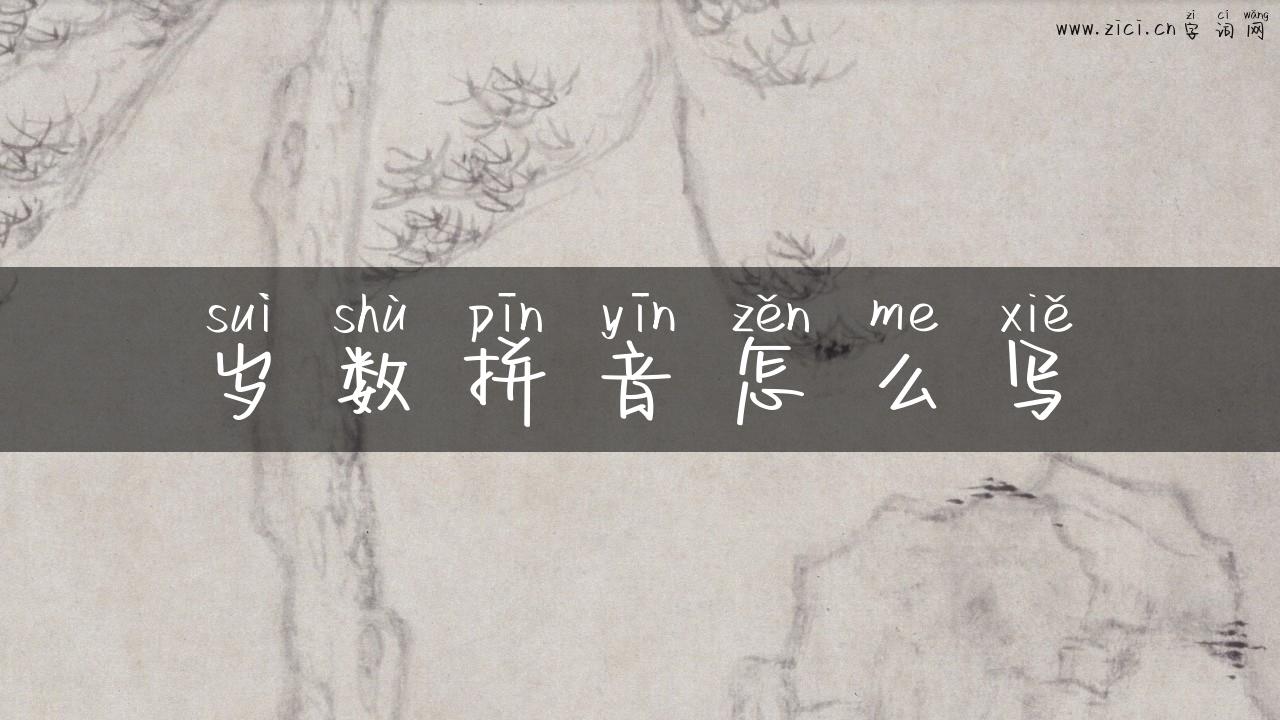岁数拼音怎么写