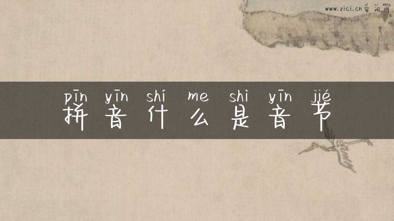 拼音什么是音节