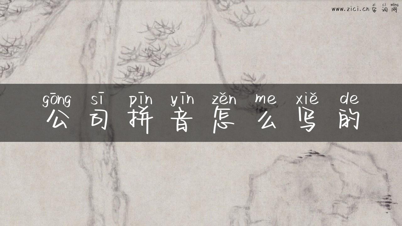 公司拼音怎么写的