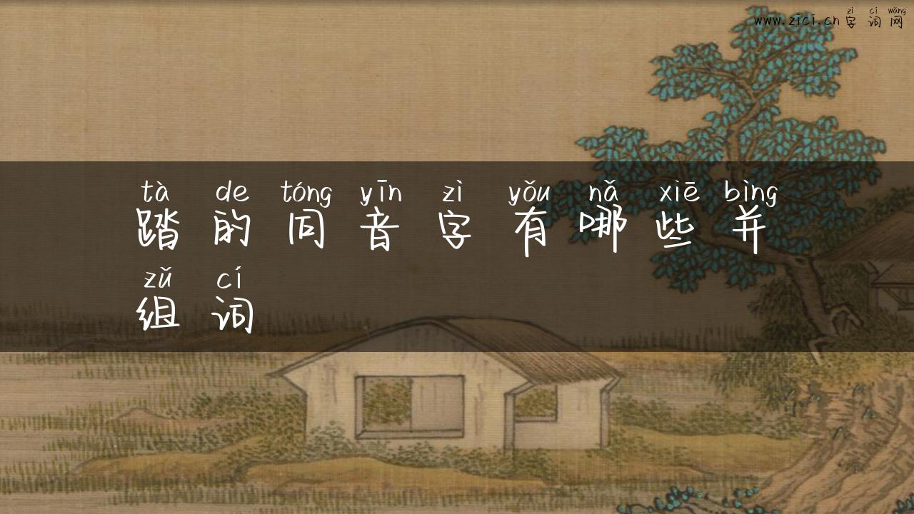 踏的同音字有哪些并组词