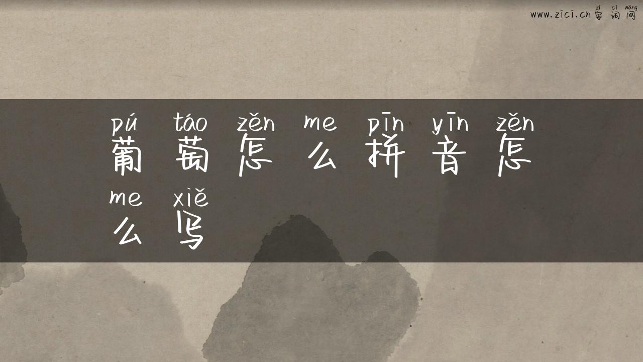 葡萄怎么拼音怎么写