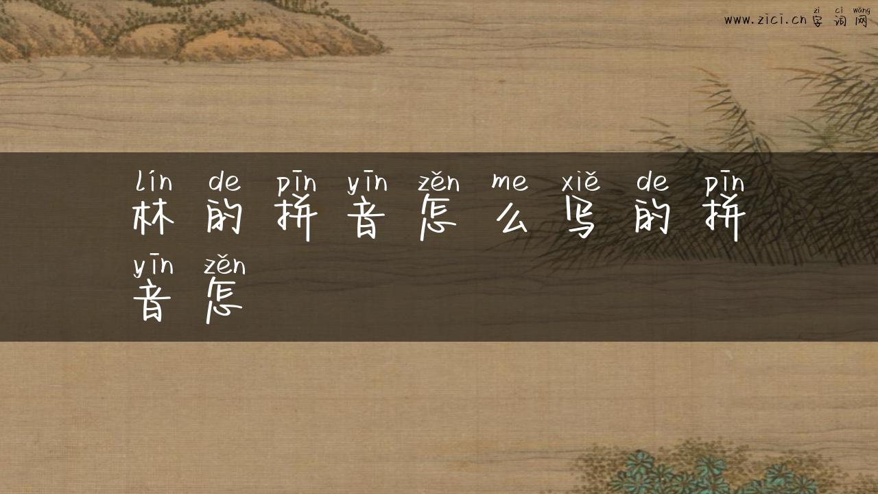 林的拼音怎么写的拼音怎