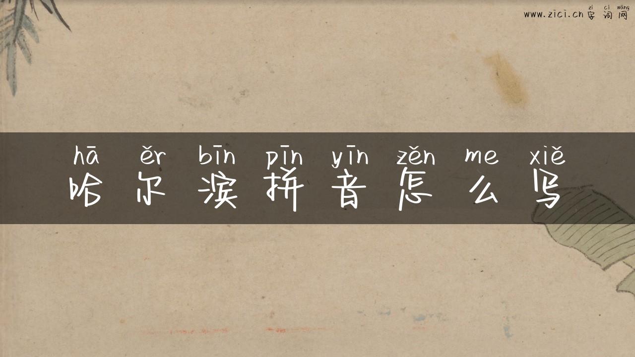 哈尔滨拼音怎么写