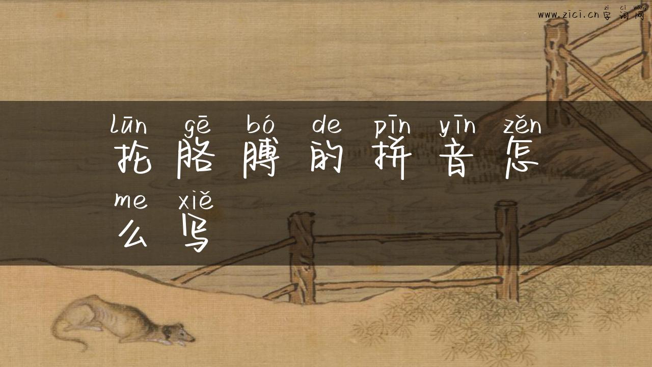 抡胳膊的拼音怎么写