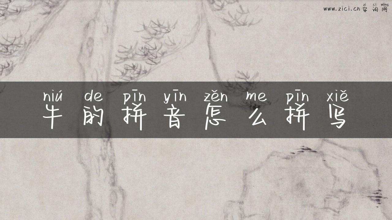 牛的拼音怎么拼写