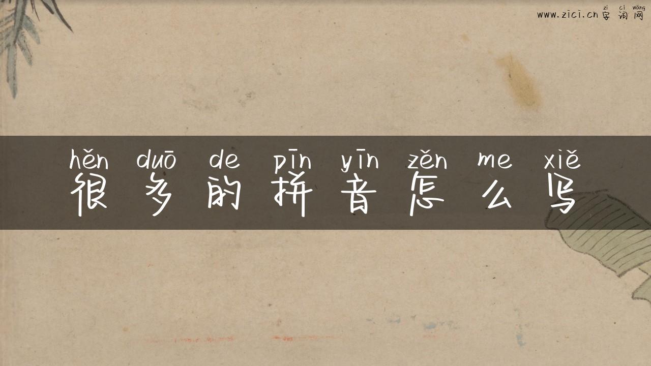 很多的拼音怎么写