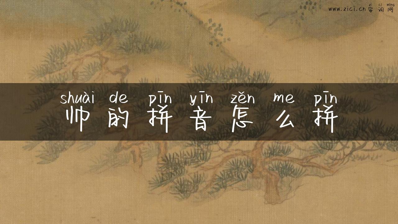 帅的拼音怎么拼