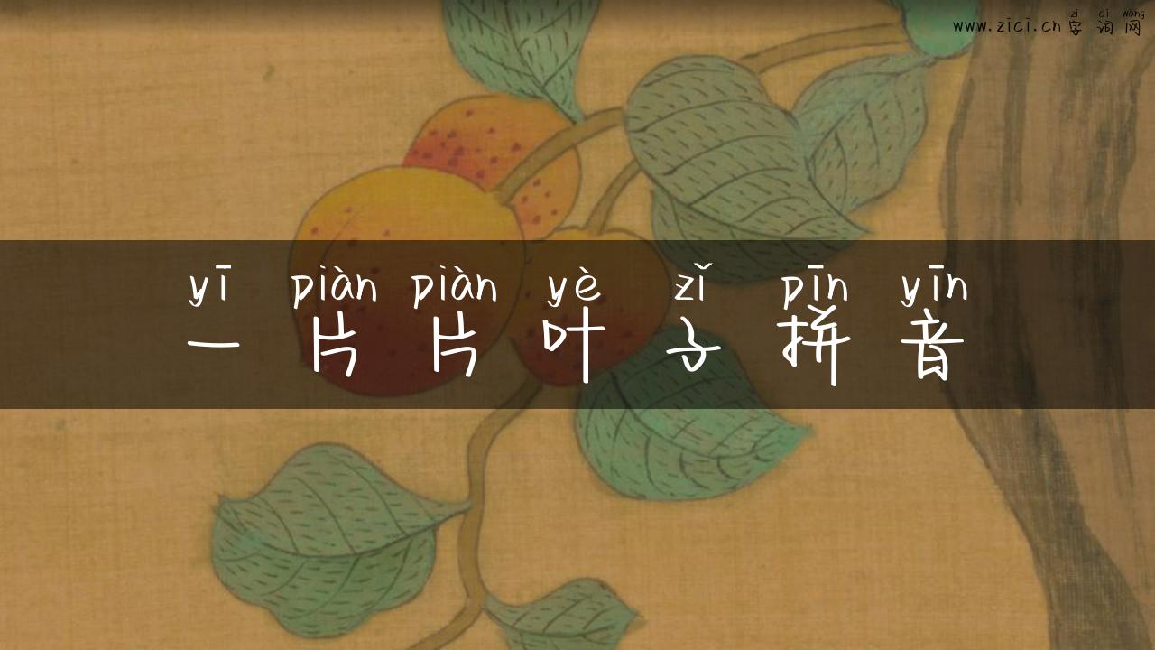一片片叶子拼音
