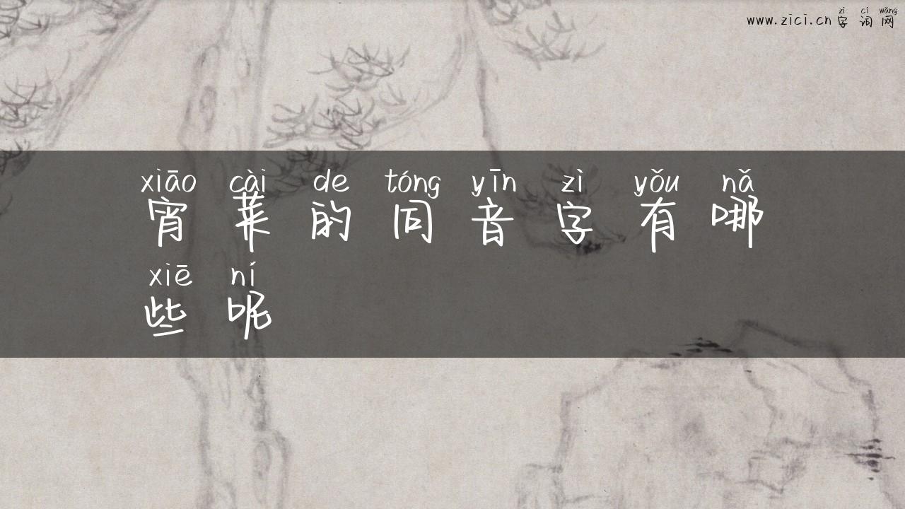 宵菜的同音字有哪些呢