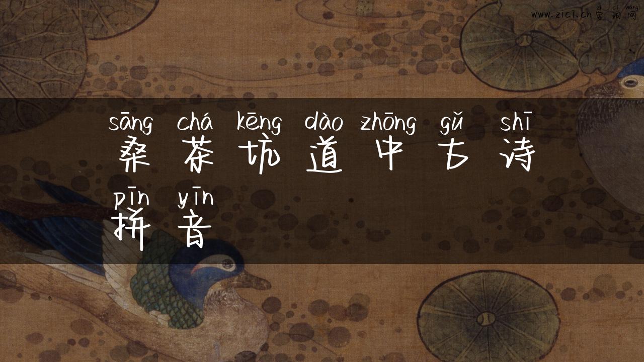 桑茶坑道中古诗拼音