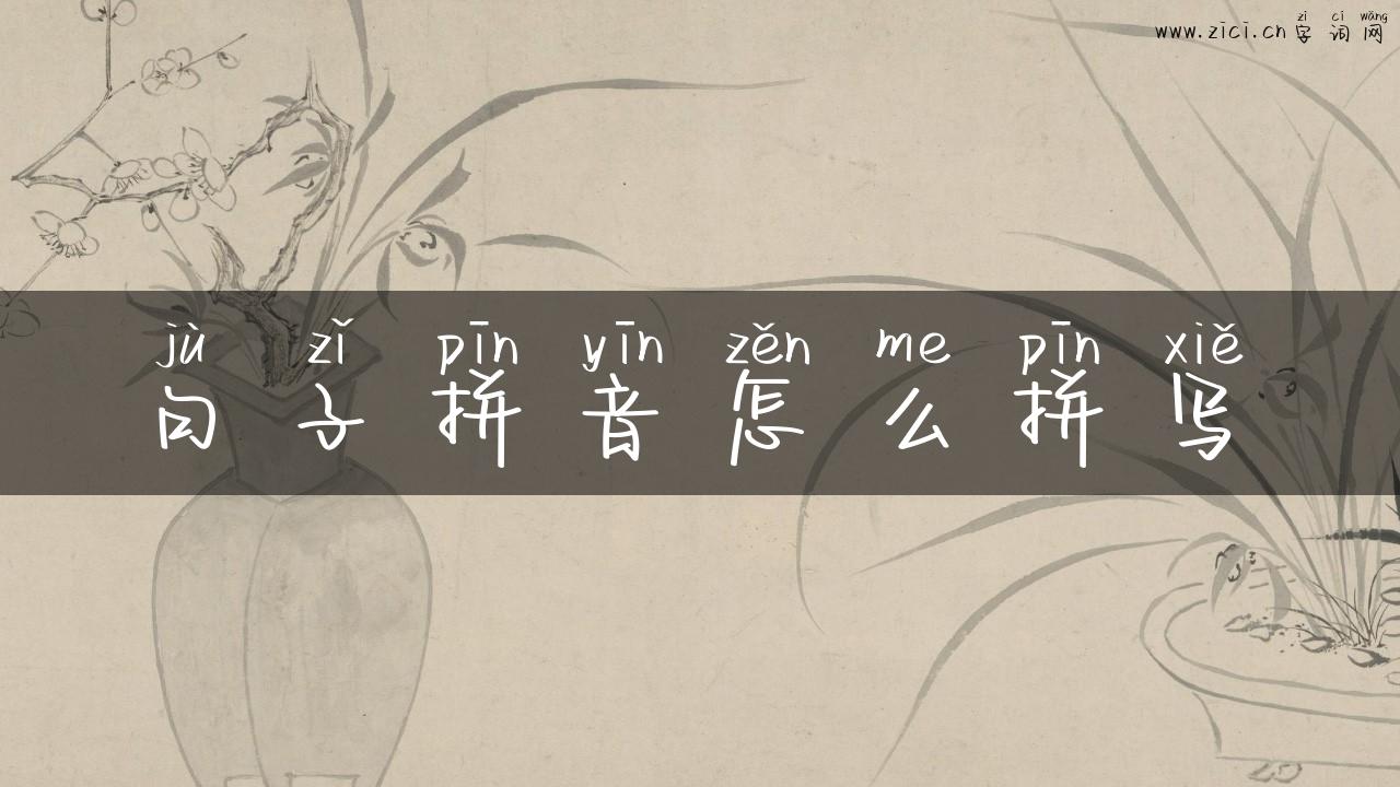 句子拼音怎么拼写