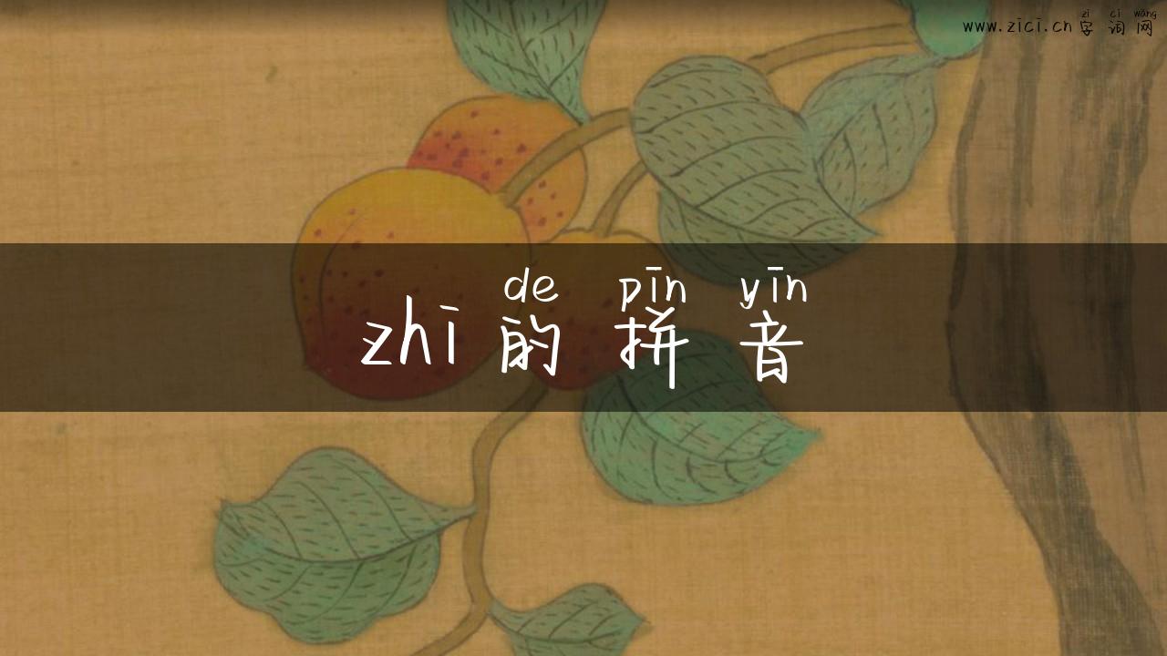 zhi的拼音