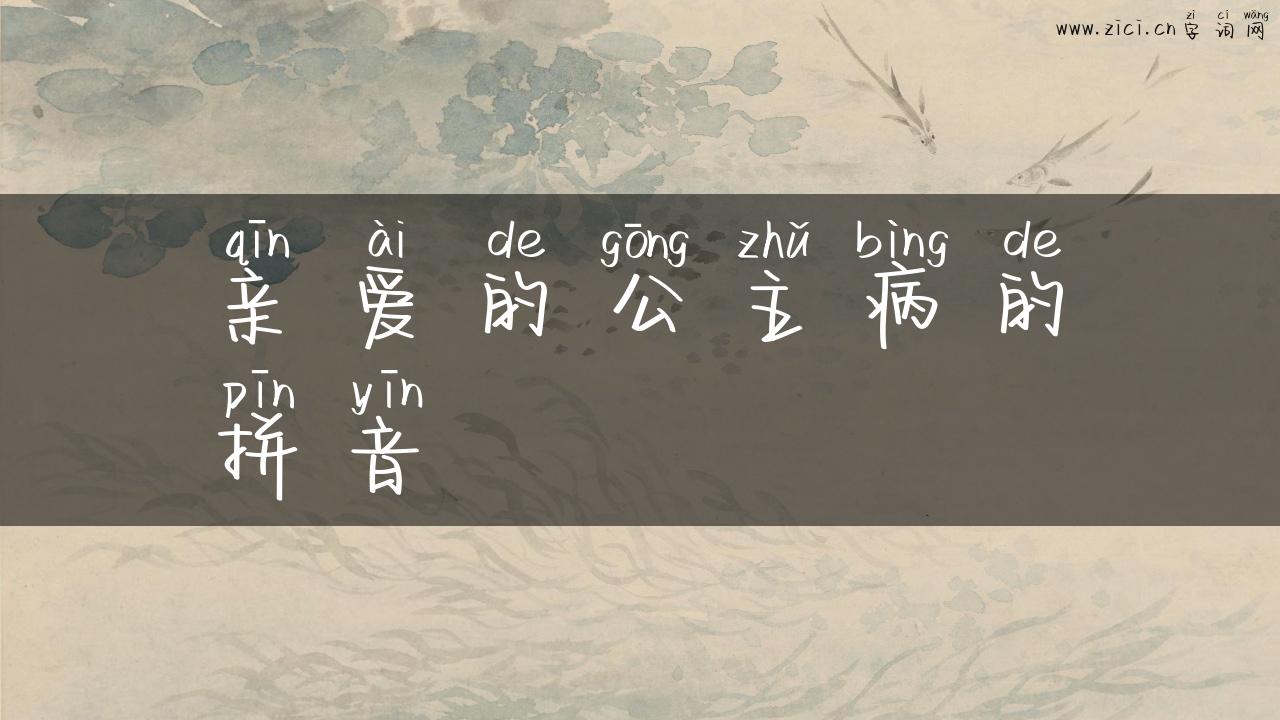 亲爱的公主病的拼音