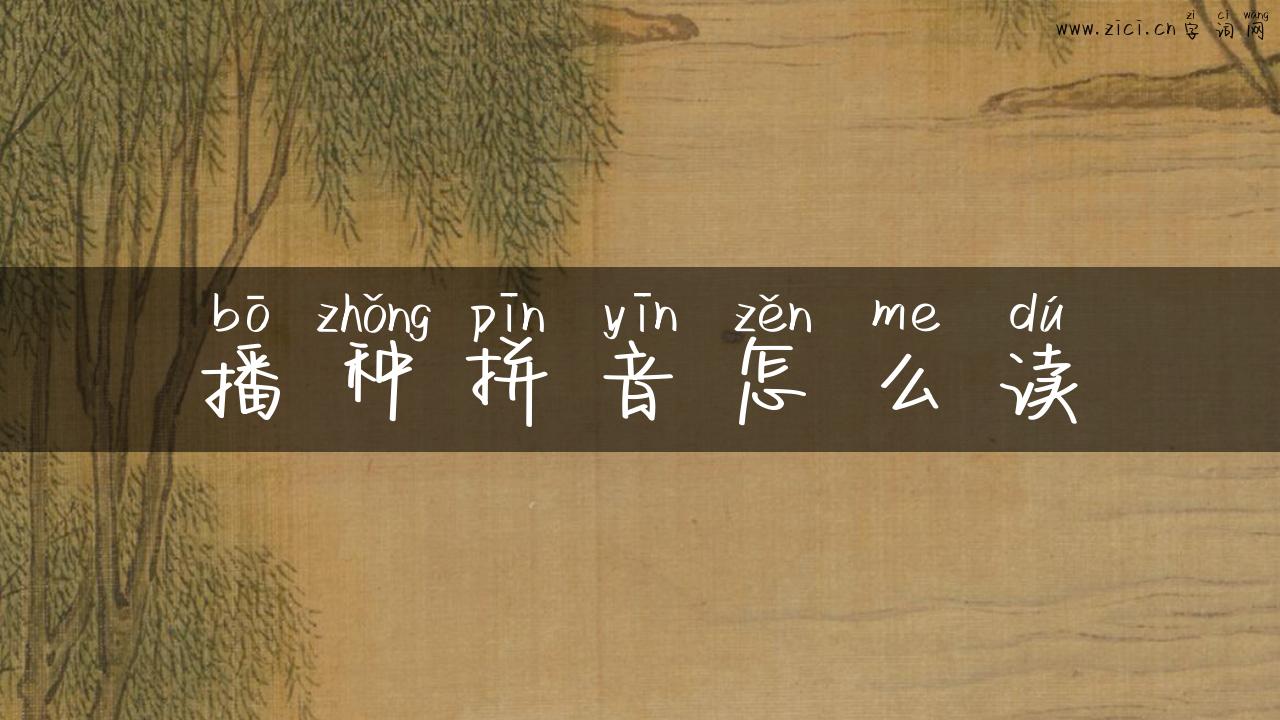 播种拼音怎么读