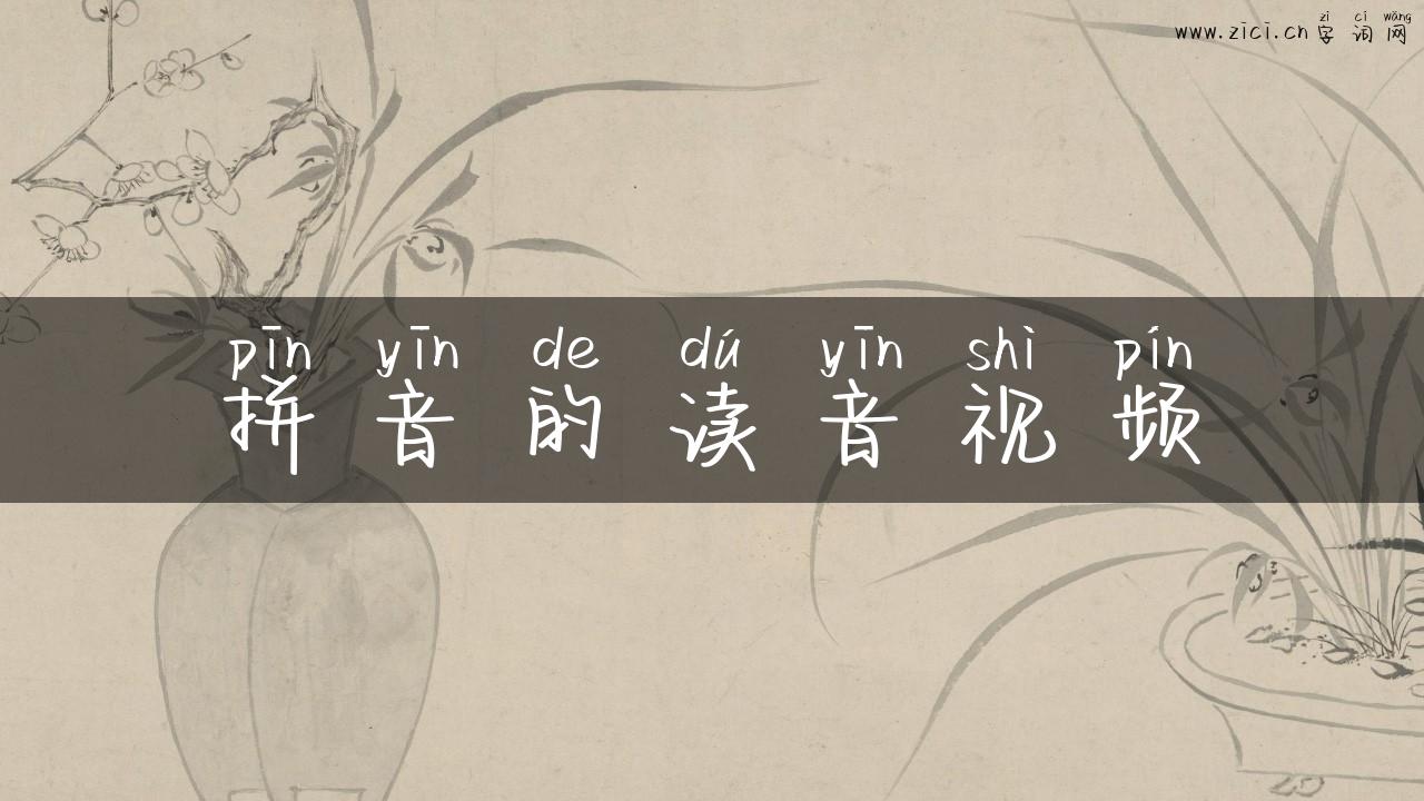 拼音的读音视频