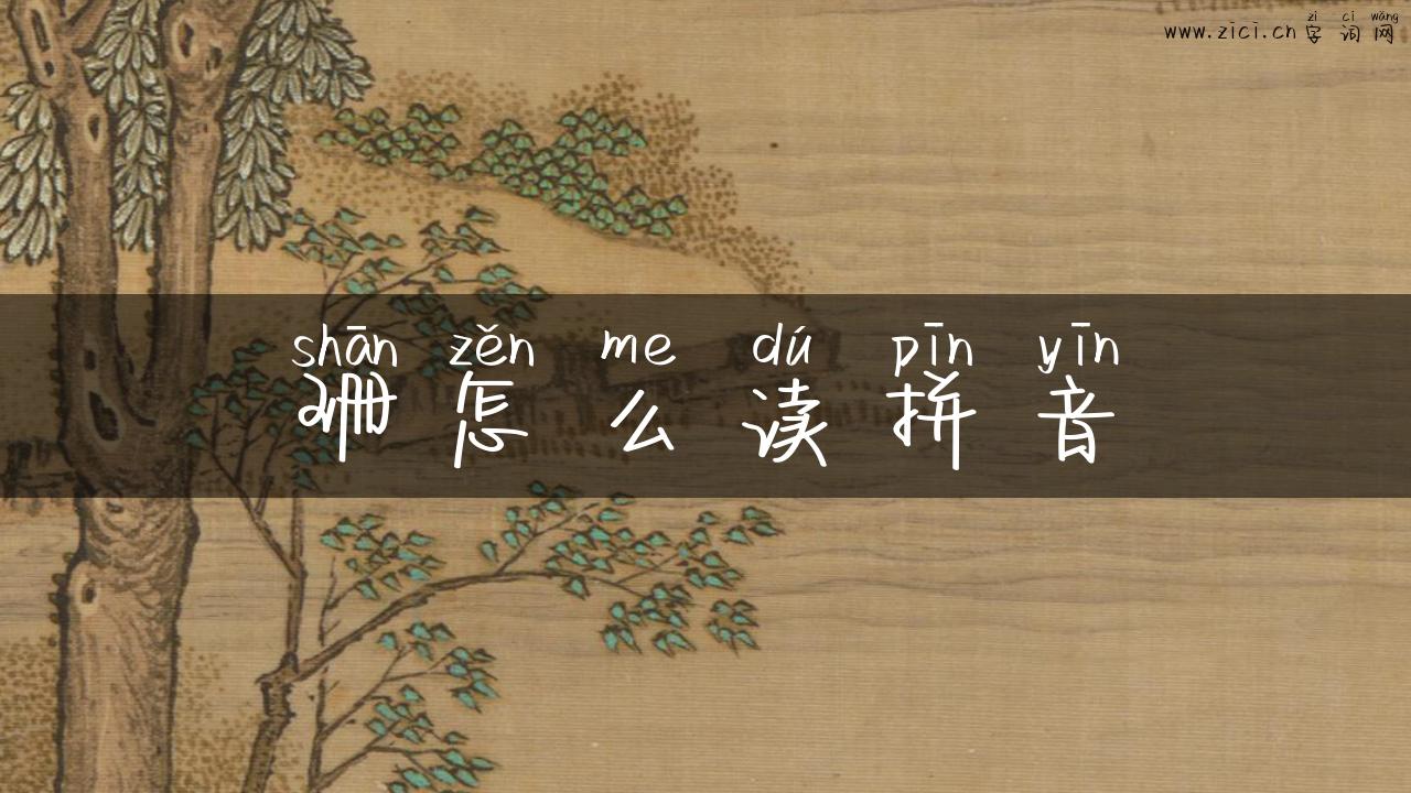 珊怎么读拼音