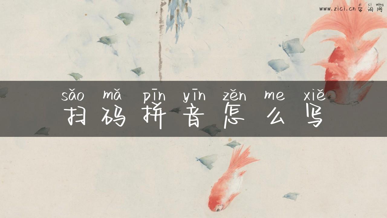 扫码拼音怎么写