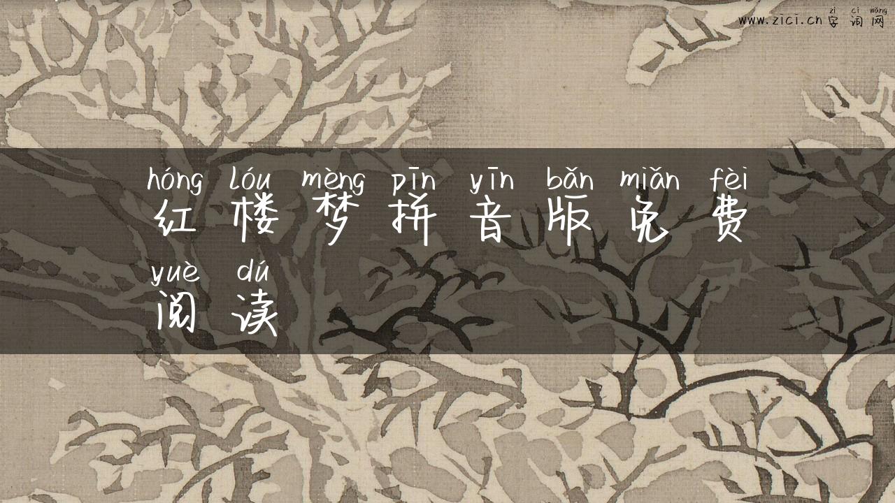 红楼梦拼音版免费阅读