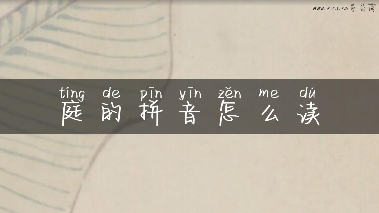 庭的拼音怎么读