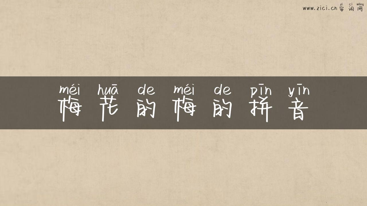 梅花的梅的拼音