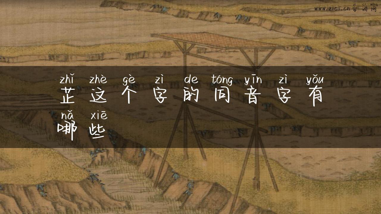 芷这个字的同音字有哪些