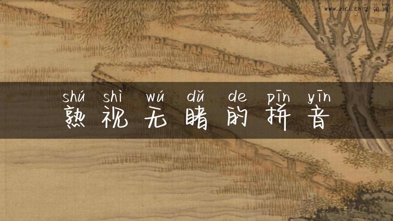 熟视无睹的拼音