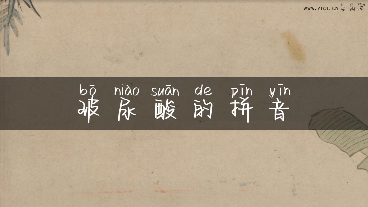 玻尿酸的拼音
