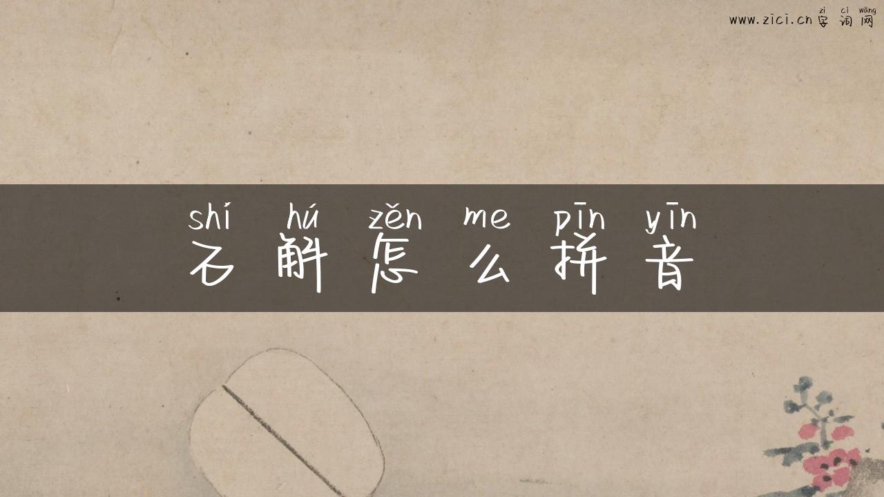 石斛怎么拼音